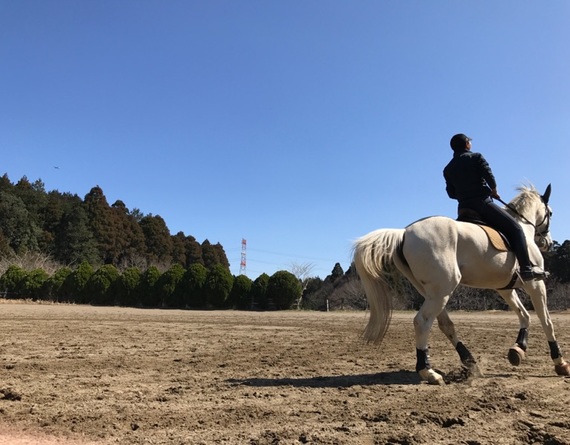 ボルタライディングクラブ
